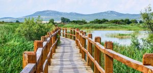 Nature Park Vrana Lake excursion from Zadar