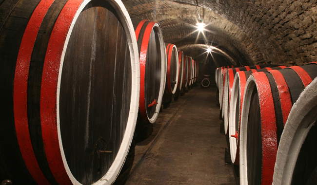 Wine Cellar Tour in Zadar